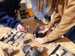 Berufsorientierungstage 